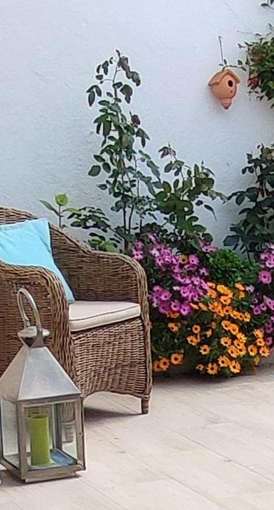 Juan Les Pins Plages Clim Wifi Maison Entiere Lejlighed Antibes Eksteriør billede